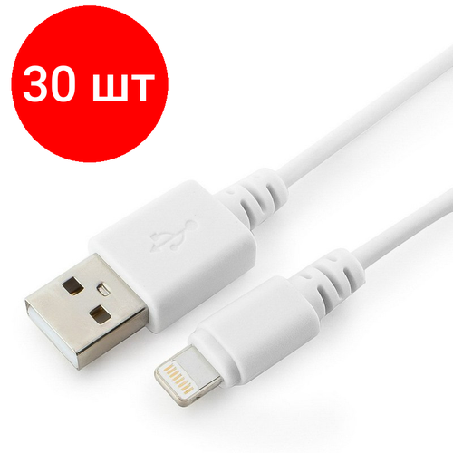 Комплект 30 штук, Кабель USB 2.0 - Lightning, М/М, 1 м, Cablexpert, бел, CC-USB-AP2MWP download usb cc2511f32 spi zigbee programmer debugging cc2531 cojxu cc debugger