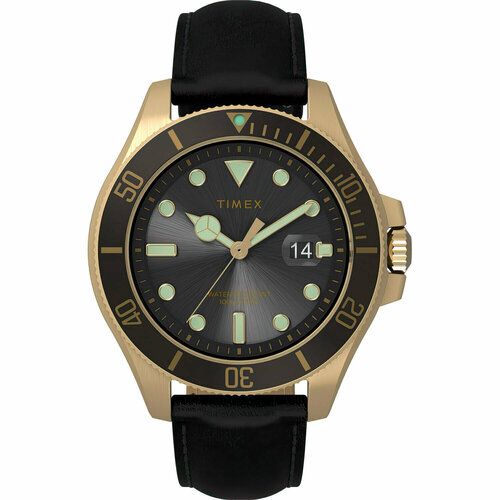 Мужские часы Timex