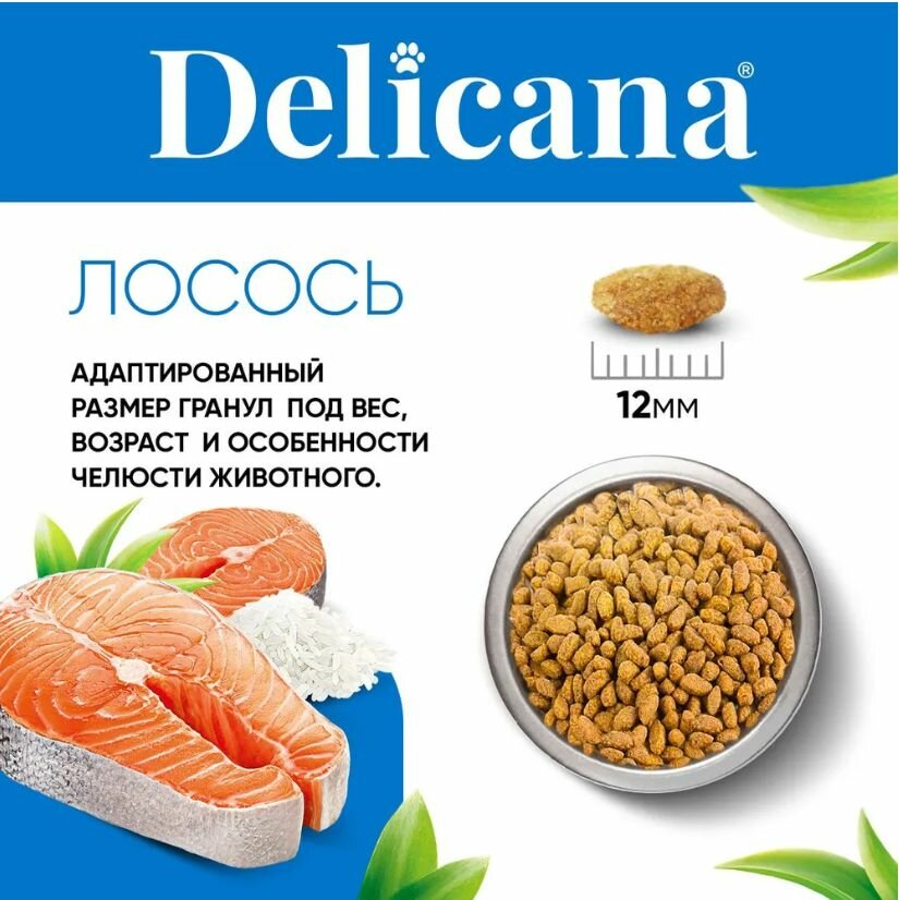 DELICANA (Деликана) Корм сухой для стерилизованных кошек/кастрированных котов, с лососем, 1,5 кг — фото 1