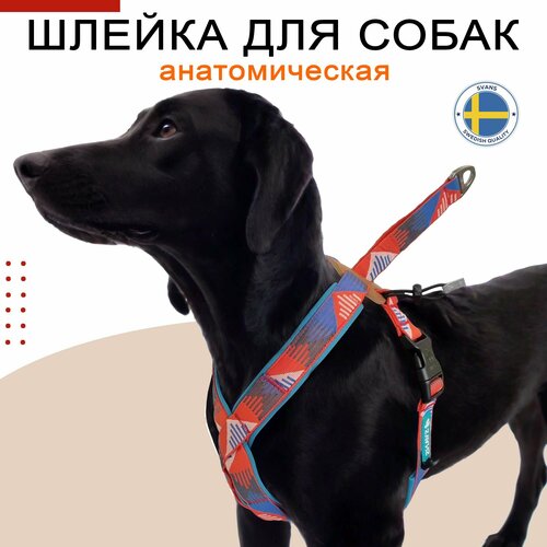 Шлейка для собак мелких, средних и крупных пород