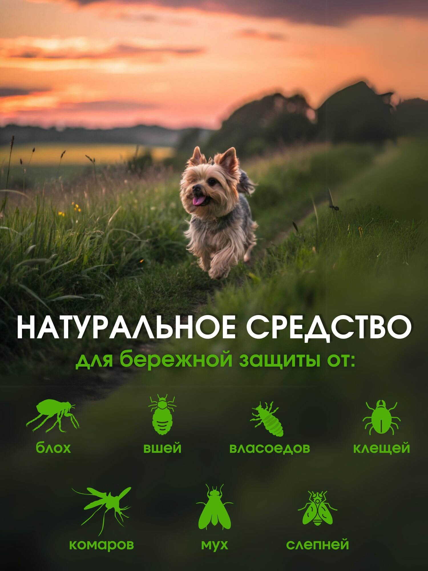 Капли от блох и клещей Mr.Bruno для щенков и маленьких собак 3 пипетки — фото 1