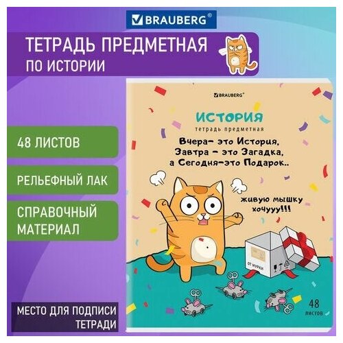 Тетрадь предметная "кот-энтузиаст" 48 л, TWIN-лак, история, клетка, подсказ, BRAUBERG, 404563