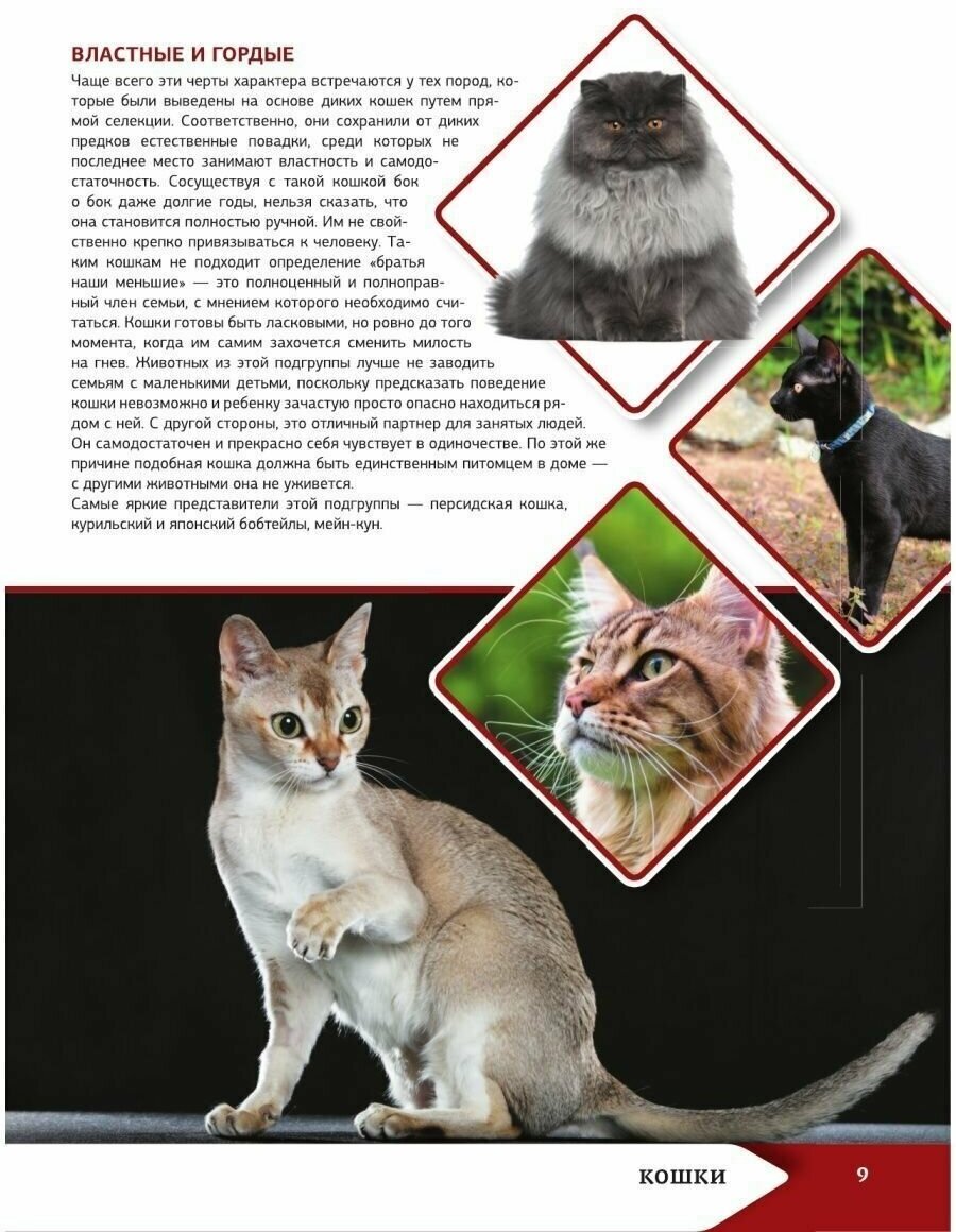 Большая энциклопедия о кошках и собаках - фото №9