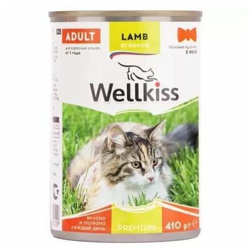 Wellkiss Влажный корм консервы для кошек, нежные кусочки с ягненком в желе, 410 гр. gimcat shinycat влажный корм для кошек из цыпленка с говядиной кусочки в желе в консервах 70 г