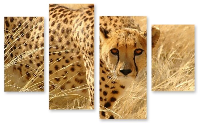 Модульная картина на холсте "Леопард" 90x60 см