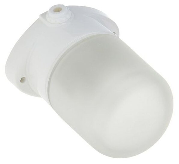 Светильник TDM НПБ400 для сауны настенно-потолочный белый, IP54, 60Вт SQ0303-0048