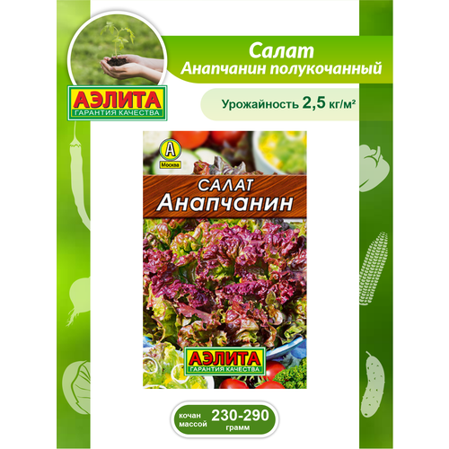 Семена Салат Анапчанин полукочанный 0,5 гр. салат анапчанин 1 гр цв п