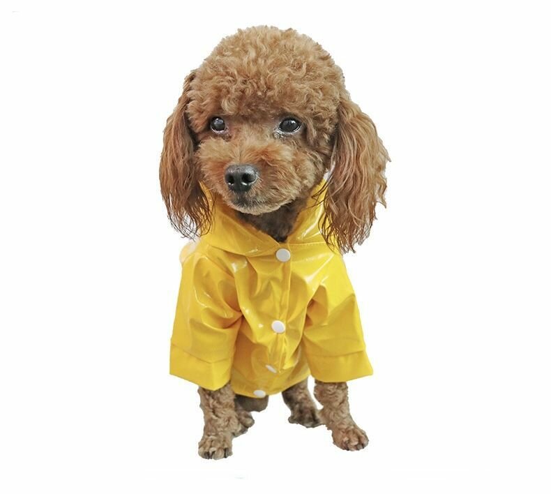 Плащ-дождевик с капюшоном для собак мелких и средних пород, размер S - фотография № 1
