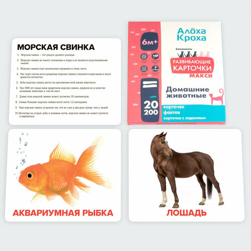 Домашние животные. Развивающие и обучающие карточки для детей по методу Домана от 