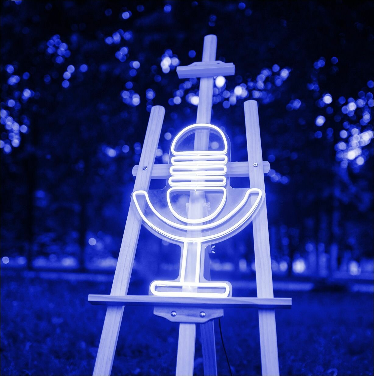 Неоновый светильник Микрофон 50х35 см
