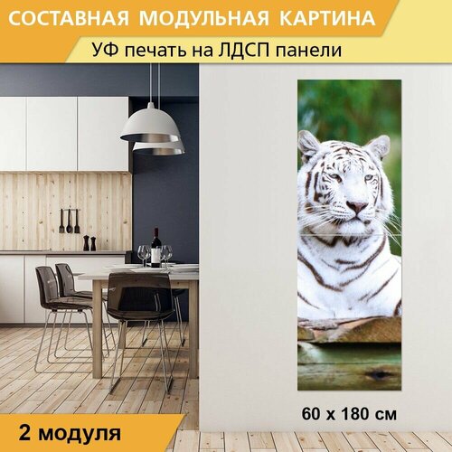 Модульная картина 