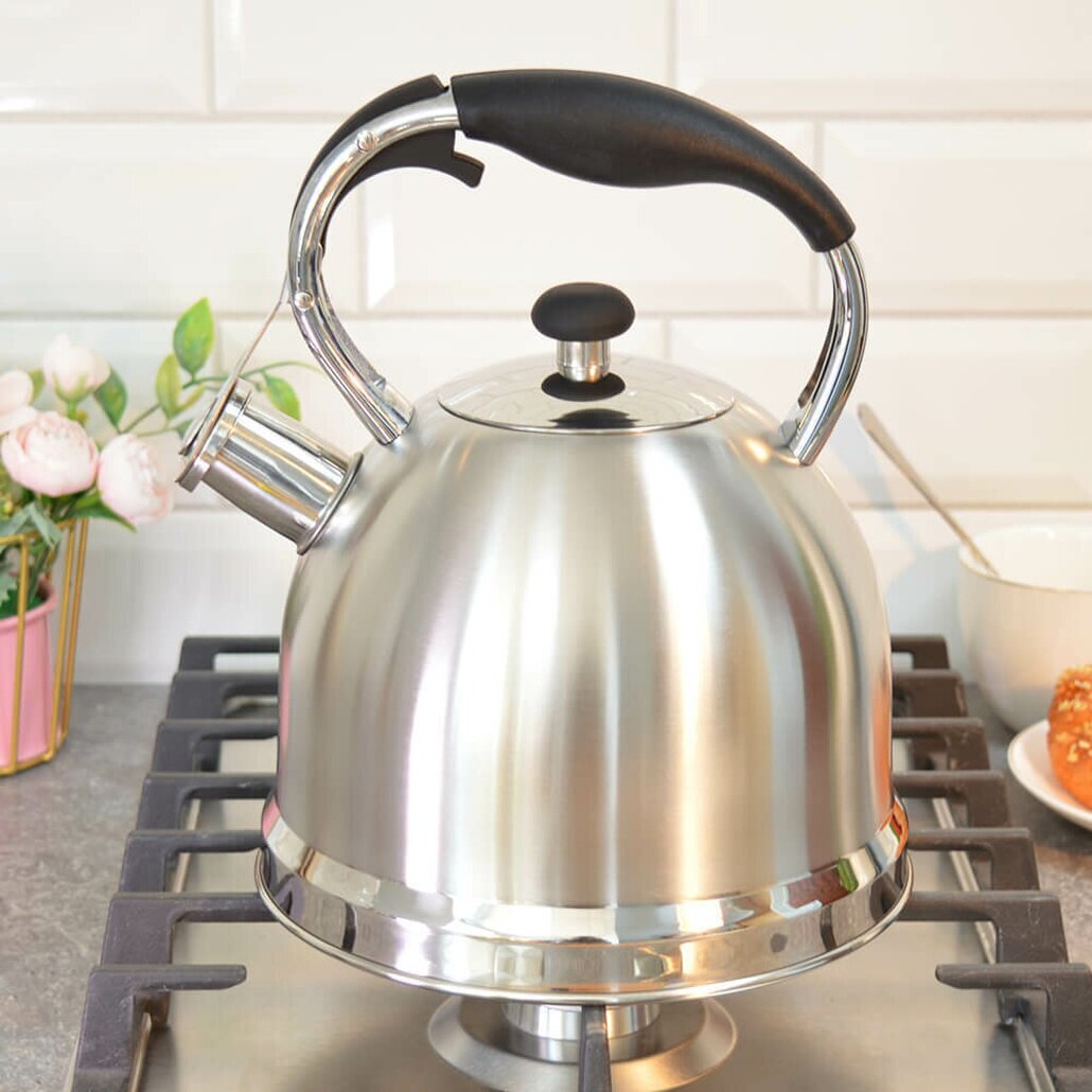 Чайник 3 л индукционное дно свисток нержавеющая сталь цвет стальной – быстрый нагрев без лишних усилий