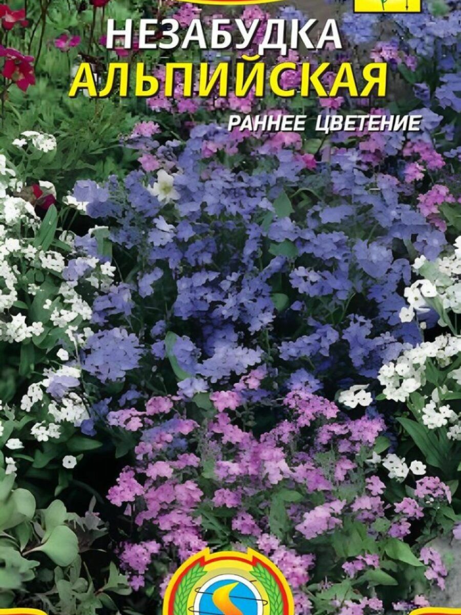 Незабудка Альпийская смесь 01 г Плазменные семена