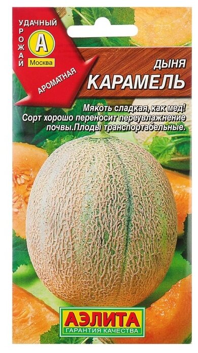 Дыня Карамель 1г Ср (Аэлита)