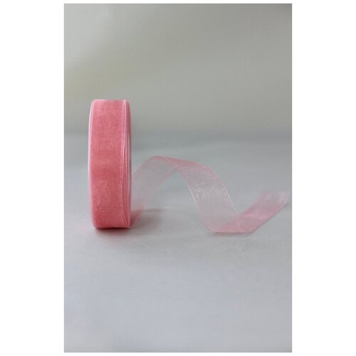 Лента органза 25 мм