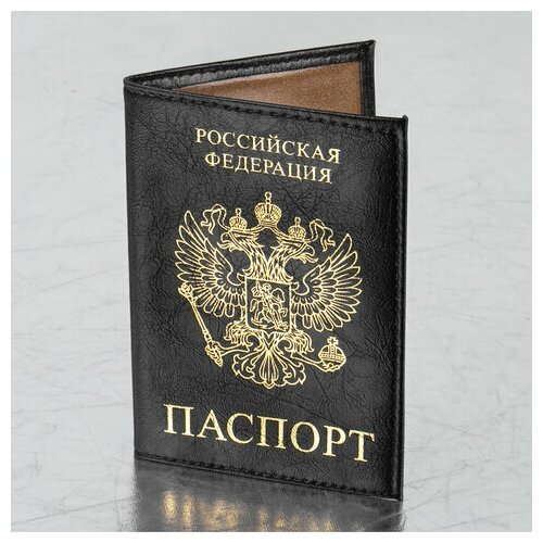 Документница для паспорта STAFF, черный