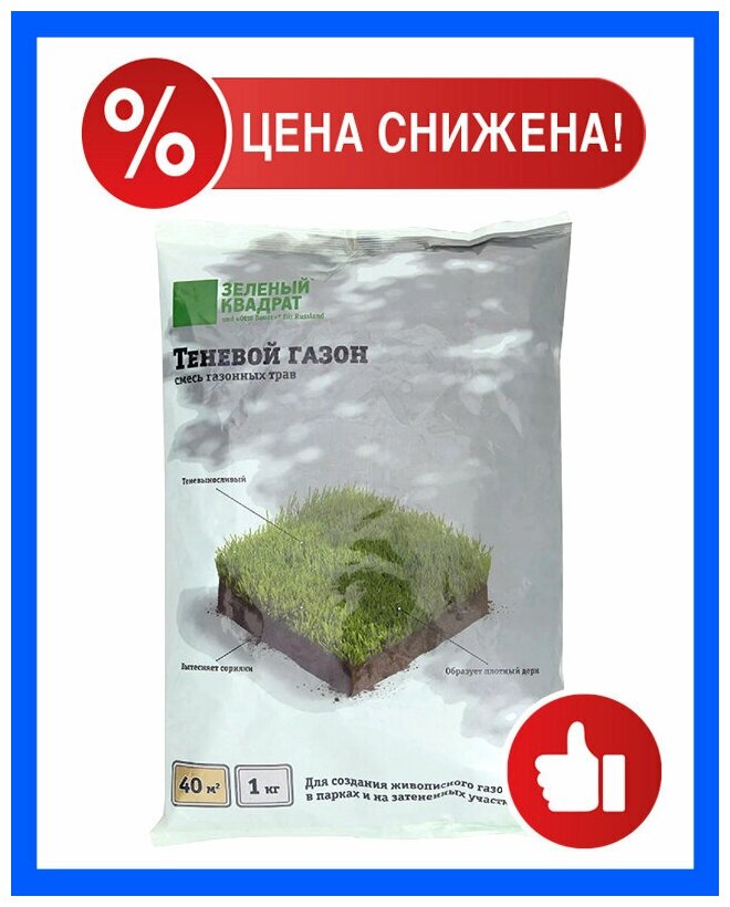 Семена газонной травы Зеленый Ковер "Зеленый квадрат Теневой", 1 кг
