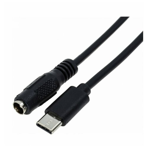 Переходник (адаптер) USB Type-C-5.5x2.5 мм, 0.2 м переходник адаптер usb type c dvi 0 15 м черный