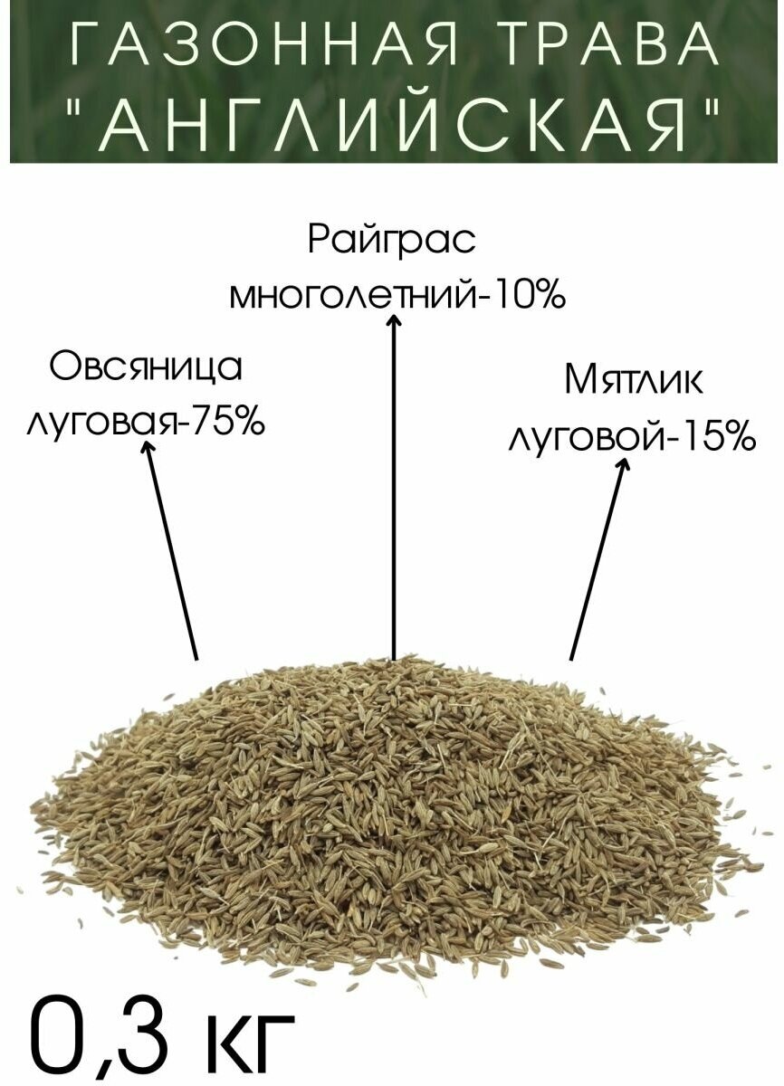 Газонная Трава "Английская" 300 гр.