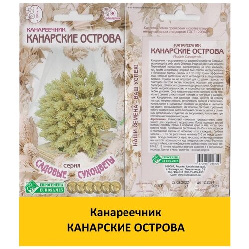 Семена канареечник Канарские острова пацкевич петр канарские острова