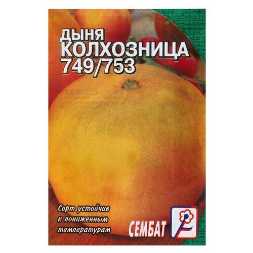 Семена Дыня Колхозница 749/753, 0,5 г семена семетра дыня колхозница 749 753 1 г