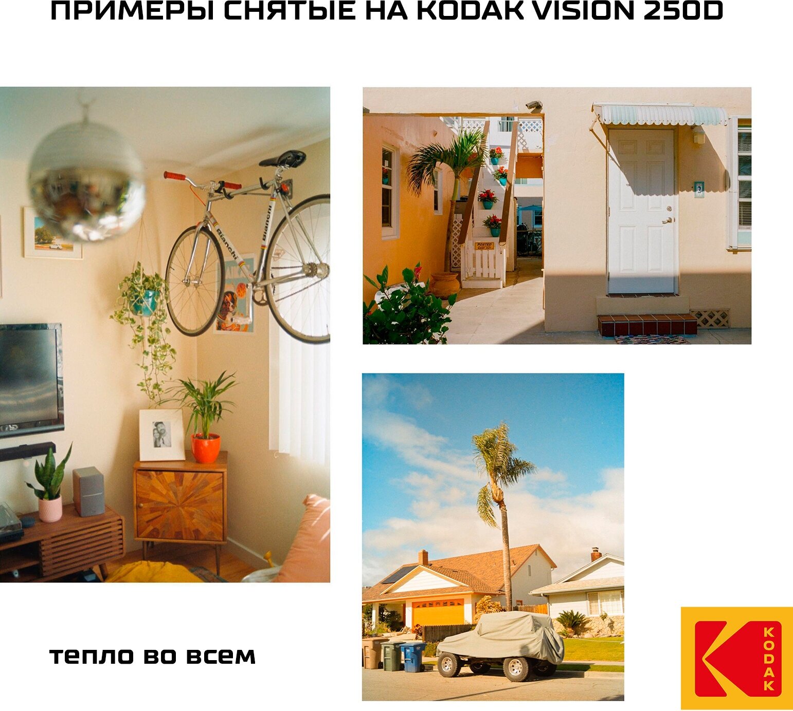 Фотопленка цветная 36 кадров теплые оттенки Kodak 250D