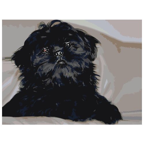 картина по номерам пес в сердечках 30x40 см Картина по номерам Черный пес, 30x40 см