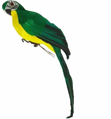 Попугай перьевой "Пират" средний пиратский на плечо, цвет зеленый, размер 35 см. Пиратская вечеринка.