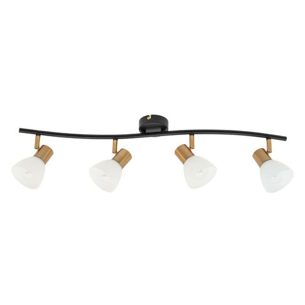 фото Спот Arte Lamp Alieno A4506PL-2CC