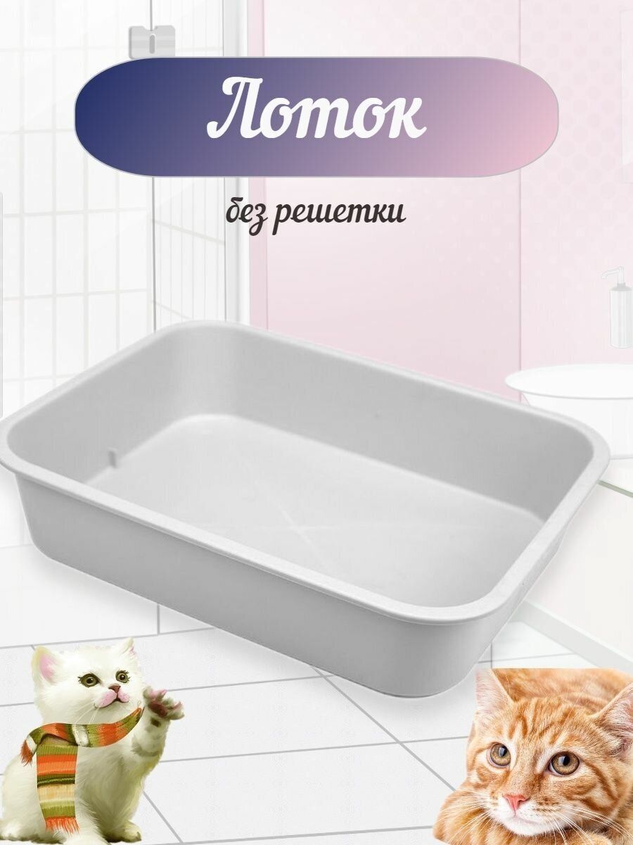 Лоток-туалет для кошек "Эконом" 33х25х7см, пластик - фотография № 3