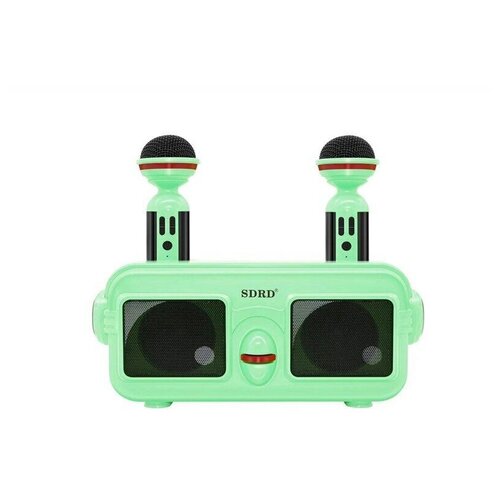 Детская караоке система с двумя микрофонами SDRD SD-304 Зелёный караоке система sdrd с двумя микрофонами для дома розовая