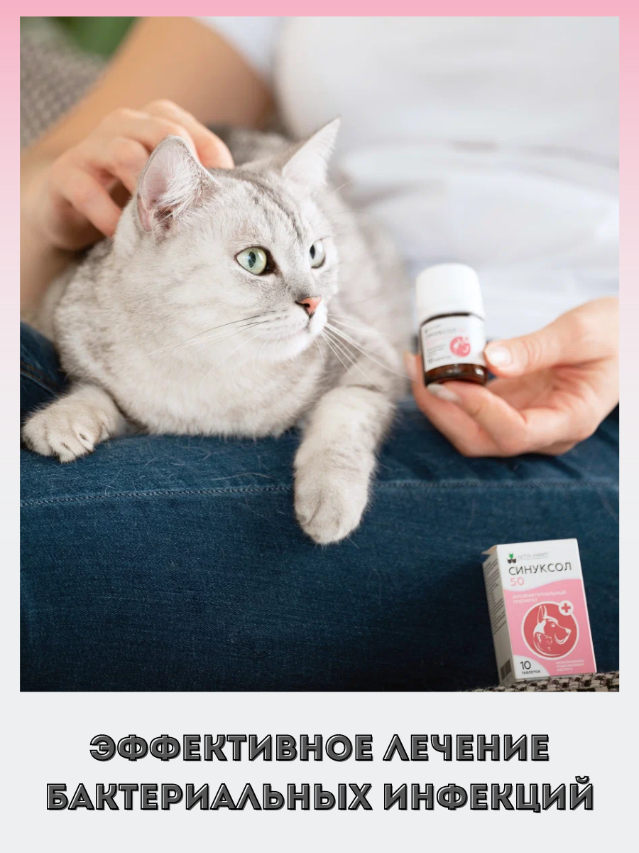 Nita-farm Синуксол Антибактериальный препарат для кошек и собак 50 мг, 10 таблеток - фото №4