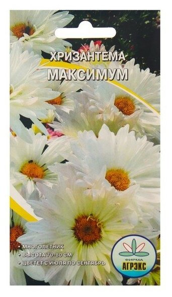 Семена Цветов Хризантема Максимум , 0,1 г