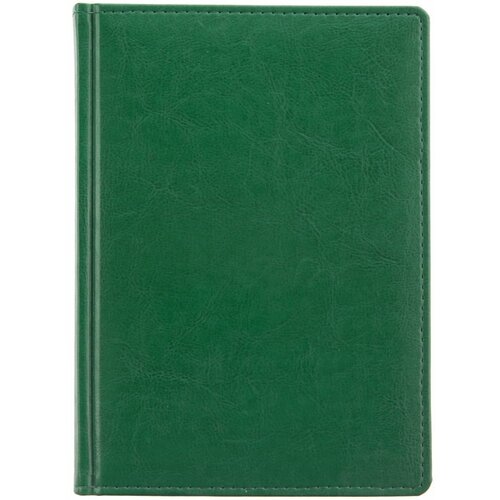 Ежедневник Nebraska, недатированный, зеленый, 15,2х21х2,3 см, искусственная кожа