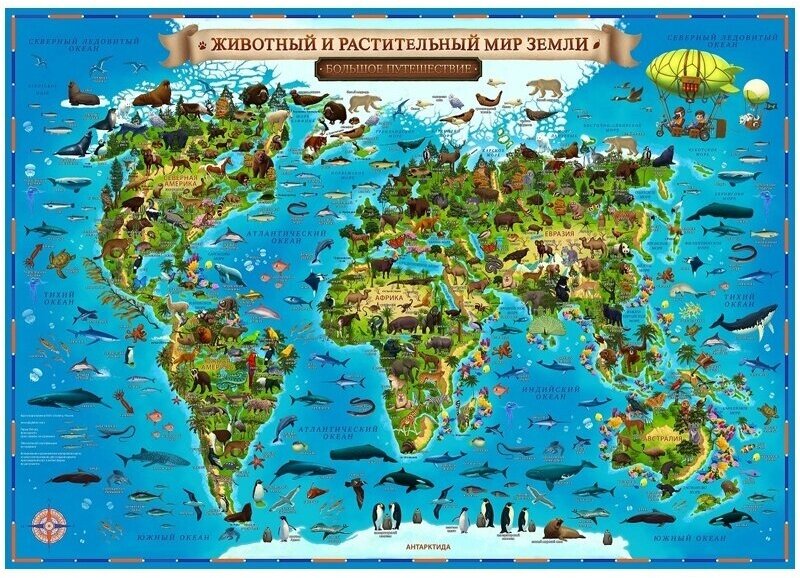 Учебная карта Globen "Животный и растительный мир Земли", 1010х690 мм, интерактивная (КН008)