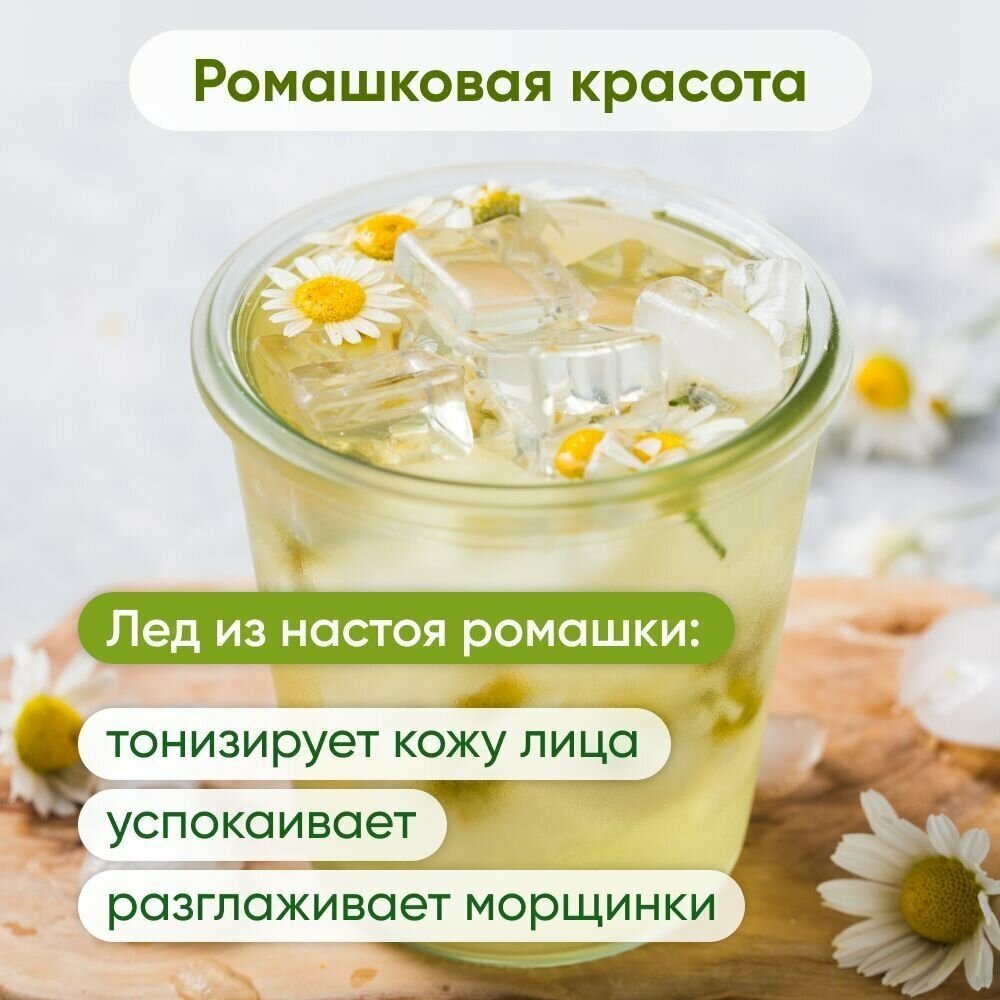 Чай травяной Milford Camomile 20 пак - фото №15