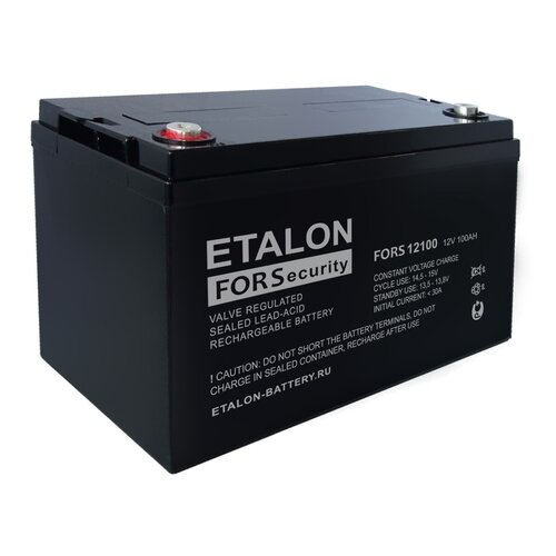 Аккумулятор АКБ 12 - 100 ETALON FS 12100