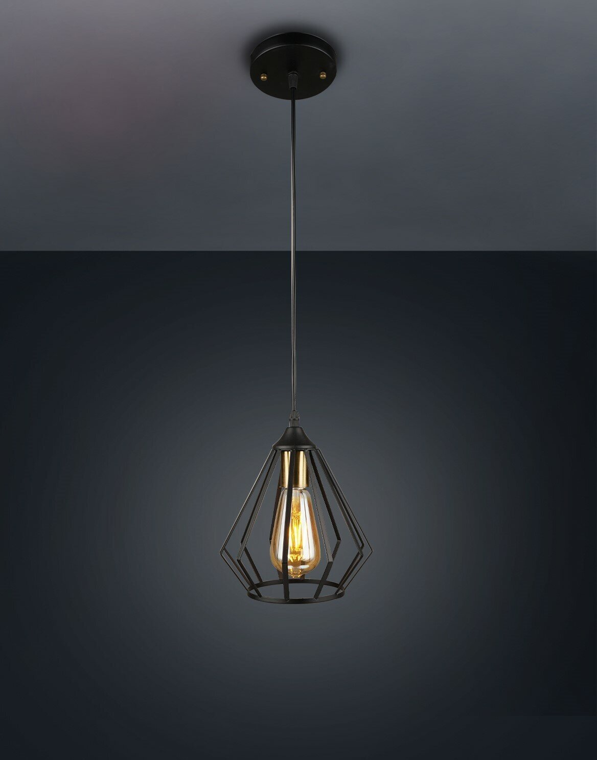 Светильник подвесной полочный в стиле лофт с лампой в комплекте WEDO LIGHT WD3579/1P-BK