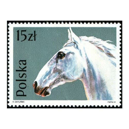 (1989-001) Марка Польша Липпицианская лошадь Лошади III O