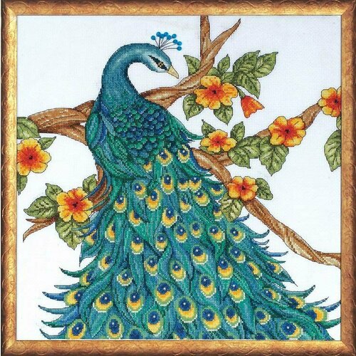 Павлин (Peacock) по картине Кристы МакКенна (Krista McKenna) 2808