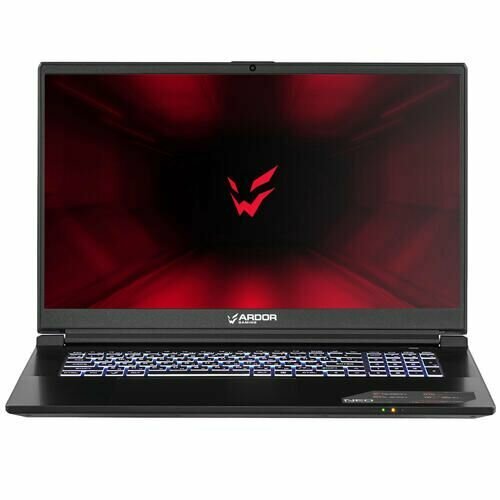 173 Ноутбук ARDOR GAMING NEO G17-I5ND303 черный 11200000₽
