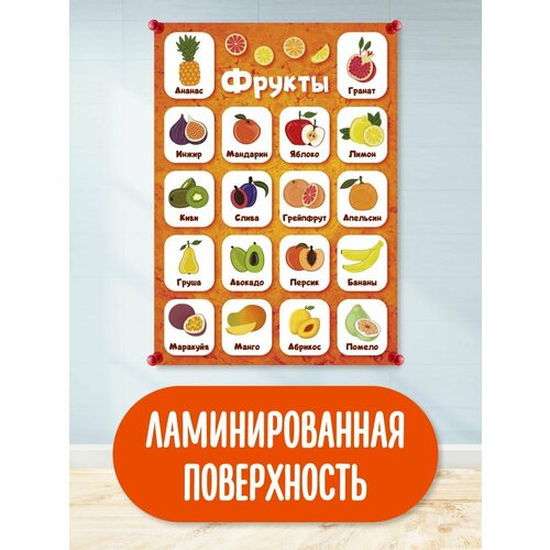 Обучающий плакат, обучающий материал, школьные плакаты, овощи, фрукты, ягоды