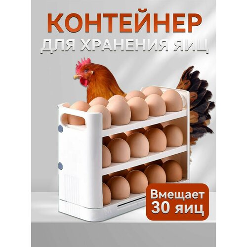 Контейнер подставка для хранения яиц в холодильник