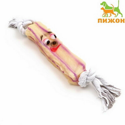 Игрушка на канате Грустная палка для собак, 30 см игрушка на канате грустная палка для собак 30 см игрушка 15 5 см