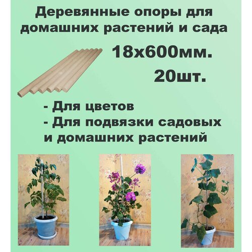 Опоры для домашних растений, колышки садовые 18х600 - 20шт. клипса для подвязки растений и домашних цветов protex флора комплект 20 шт