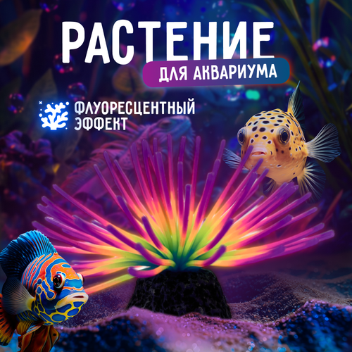 Декор для аквариума светящееся растение ZooWell Neon Light разноцветный 493₽
