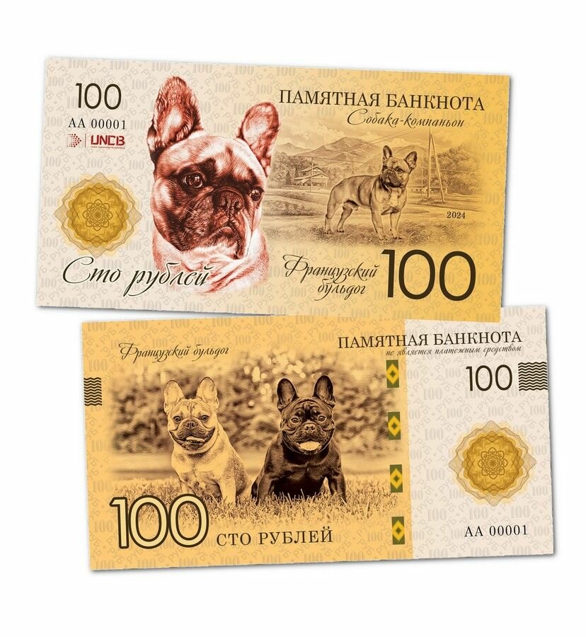 100 рублей - Французский бульдог (собака-компаньон). UNСB. Памятная банкнота. UNC