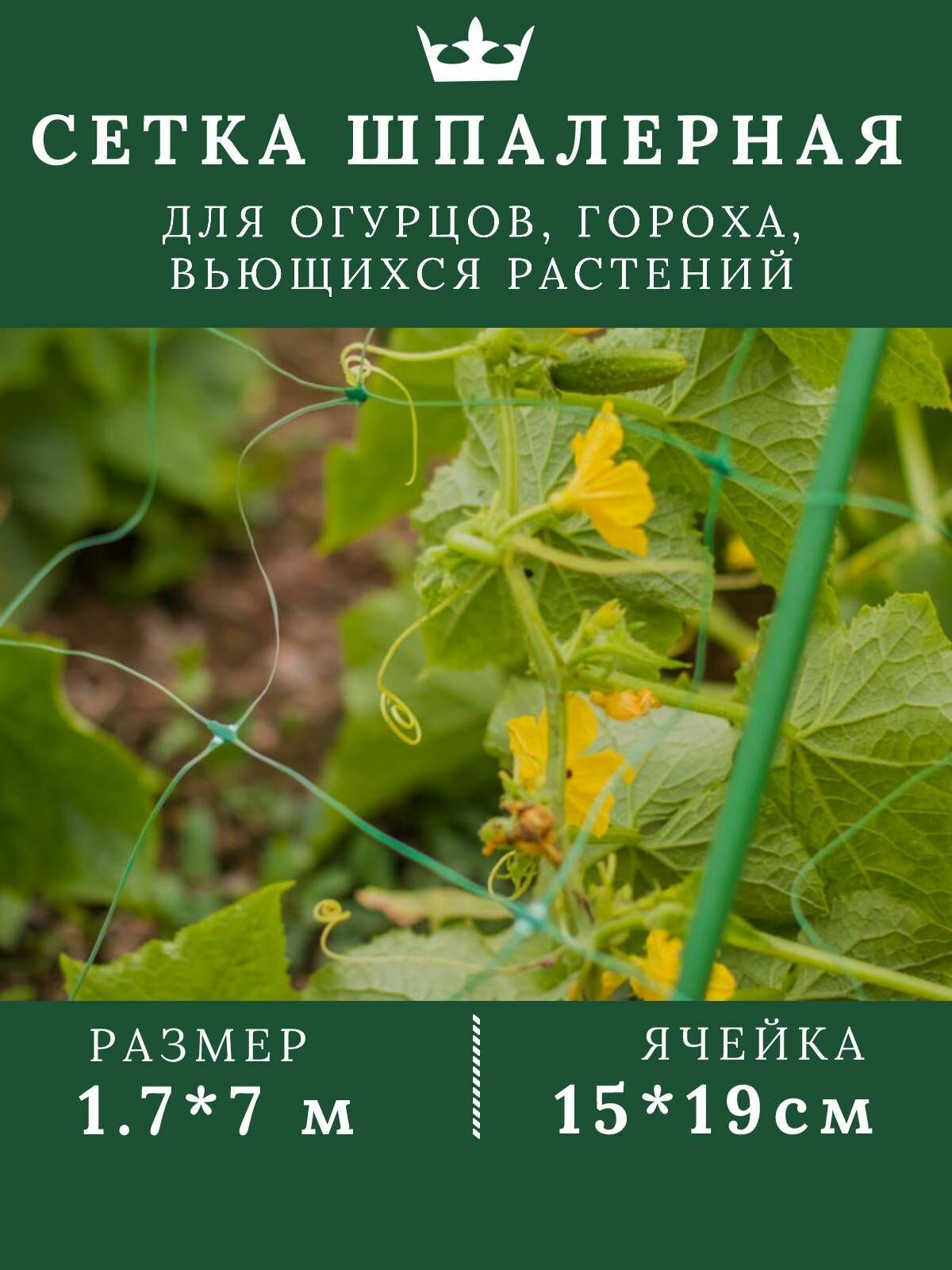 Шпалерная сетка для огурцов и вьющихся растений 1,7х7м