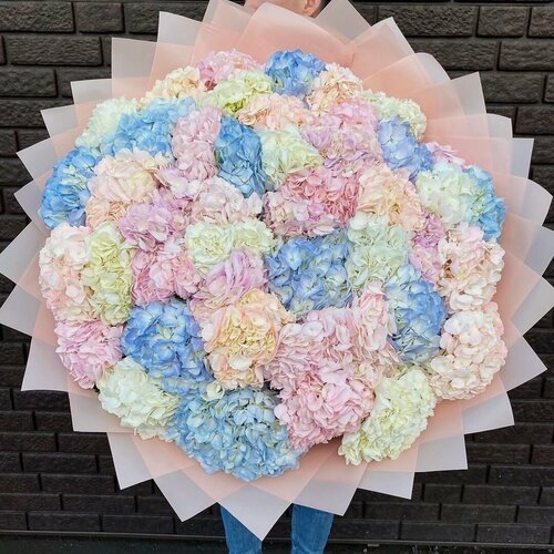Изображение товара Букет "Нежный микс" из колумбийских гортензий в подарочной упаковке 51 шт. с экспресс-доставкой ко времени
