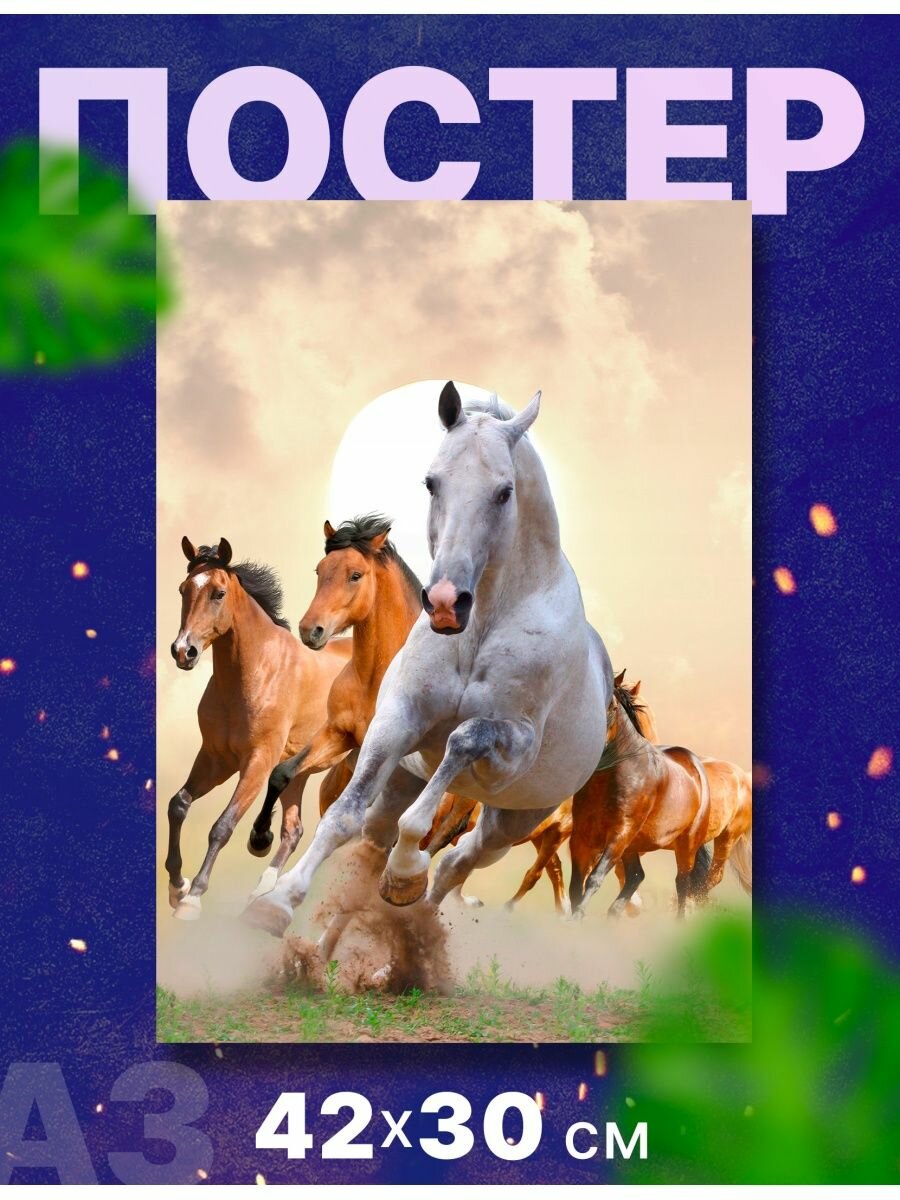 Постер иньерьерный "Лошадь, жеребец", А3, 42х30 см